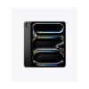 Apple iPad Pro 11 inch 256GB M4 WiFi
